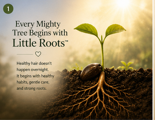 Little Roots™ storyboard chapter one: a seedling sprouting from a seed with deep golden roots beneath the soil. Every mighty tree begins with Little Roots™ — healthy hair doesn't happen overnight; it begins with healthy habits, gentle care, and strong roots.