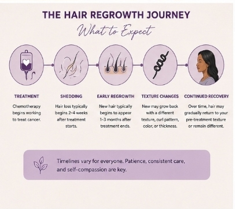 The hair regrowth journey timeline: treatment, shedding two to four weeks after treatment starts, early regrowth one to three months after treatment ends, texture changes, and continued recovery